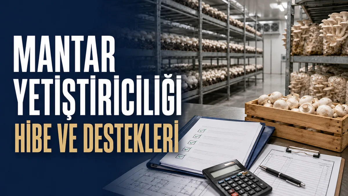 Mantar yetiştiriciliği hibe ve devlet destekleri hakkında proje hazırlığı