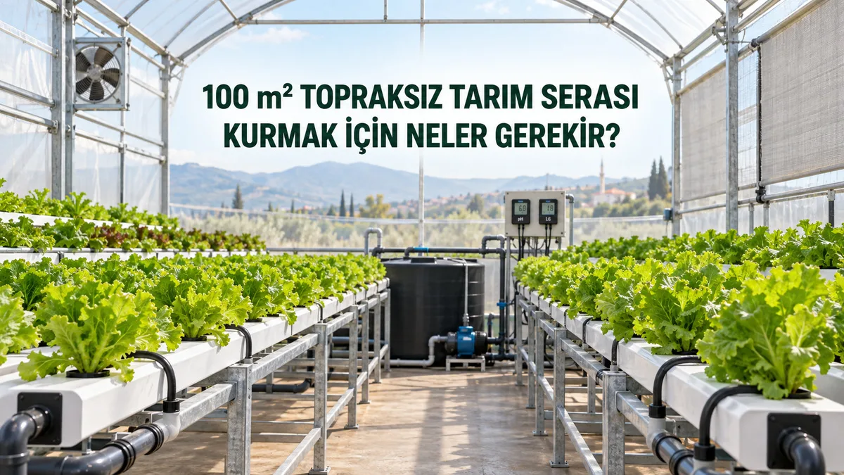 NFT kanalları, besin tankı ve kontrol ekipmanları bulunan 100 m² modern topraksız tarım serası.